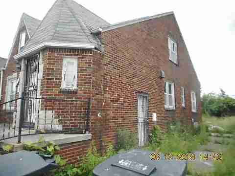 8266 Badger (6)_m.jpg